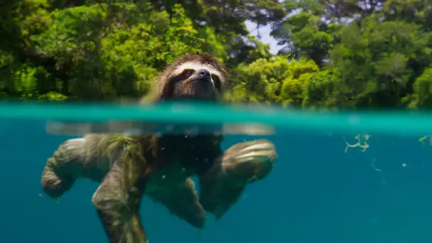 Planet Earth S2 E1