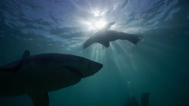 Planet Earth III S3 E1