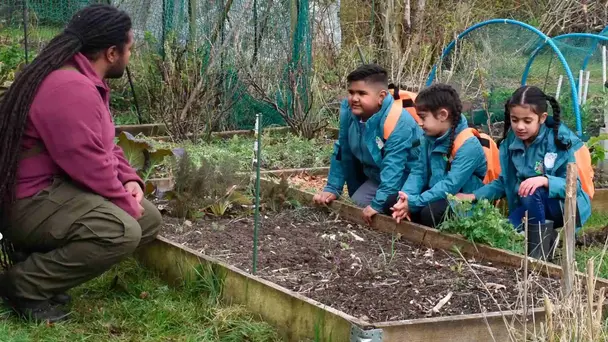 Ranger Hamza's Eco Quest S1 E1