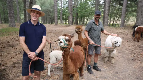 Anton and Giovanni's Adventures in Sicily S1 E2