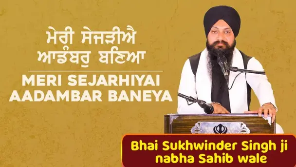 Meri Sejarhiyai Aadambar Banya