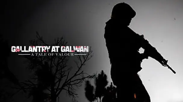 Gallantry At Galwan: A Tale Of Valour