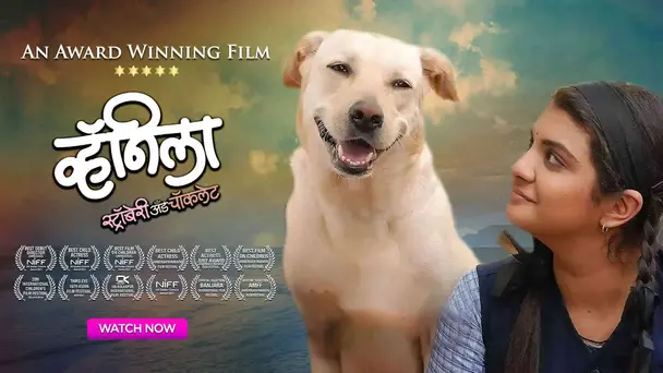 Vanilla, Strawberry & Chocolate