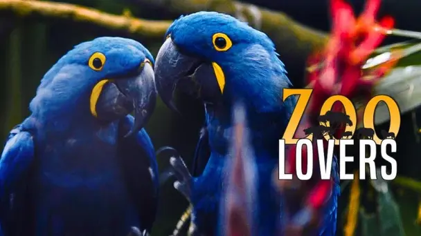 Zoo Lovers