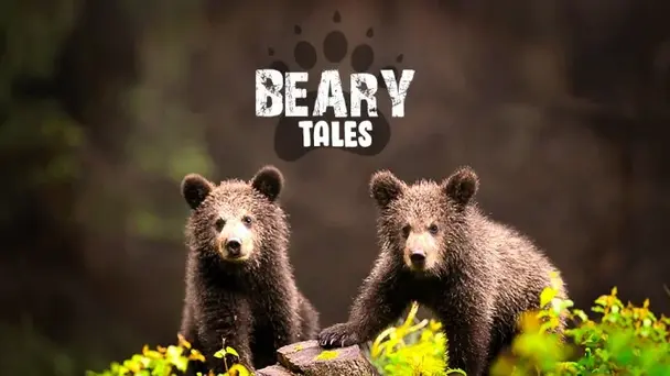 Beary Tales