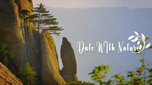 Date with Nature S1 - S1. Date with Nature