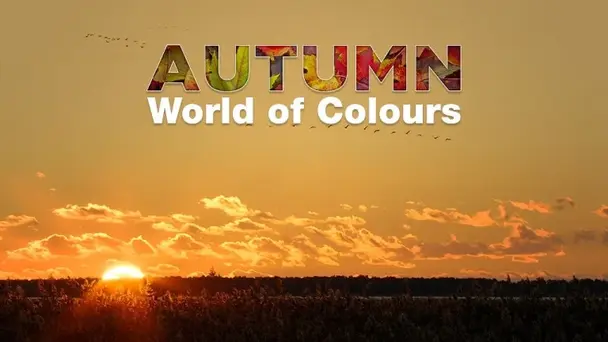 Autumn - World of Colours