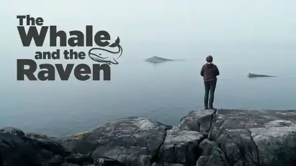 The Whale and the Raven