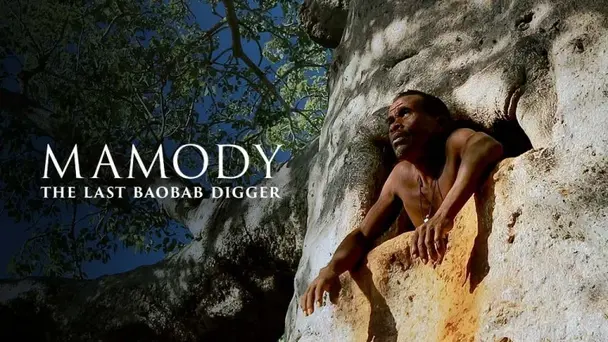 MAMODY THE LAST BAOBAB DIGGER