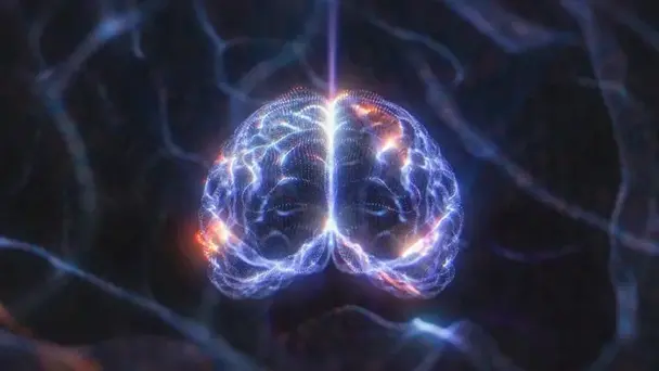 E2: NEUROLOGY AND ORTHOPAEDICS