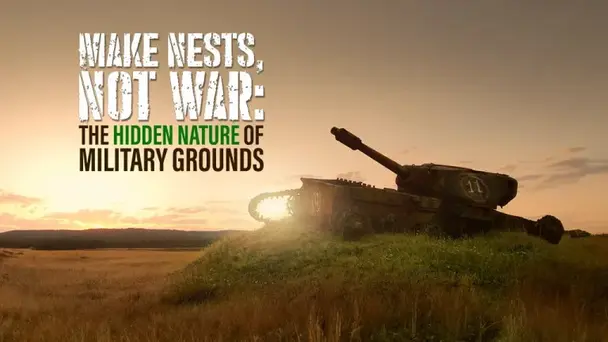 MAKE NESTS, NOT WAR: The Hidden Nature of Military Grounds