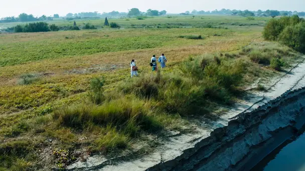 12 Digit Masterstroke