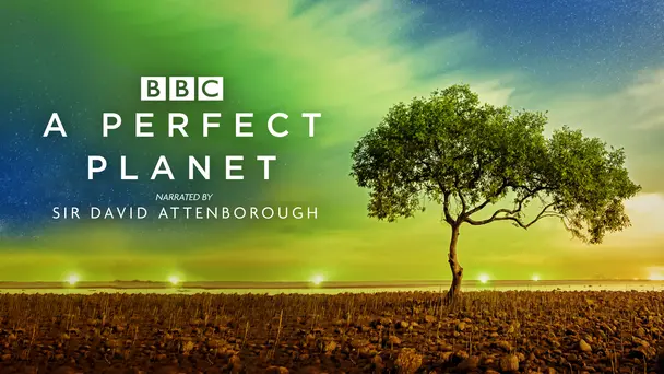 A Perfect Planet