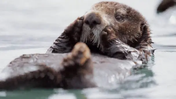 January-February: Year Begins