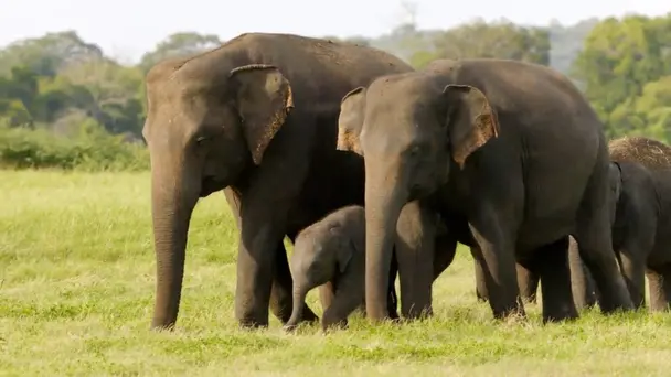 March-April: A Time of Renewal