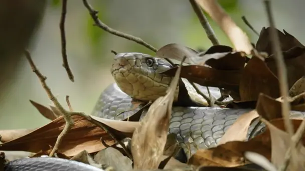 May-June: A Time of Volatility