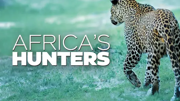 Africa's Hunters