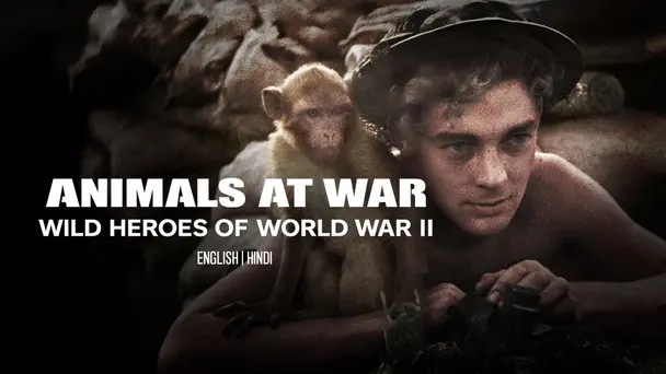 Animals At War: Wild Heroes Of World War II