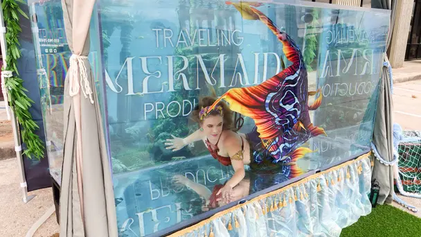 Victorian Vibes, Mermaid Dives