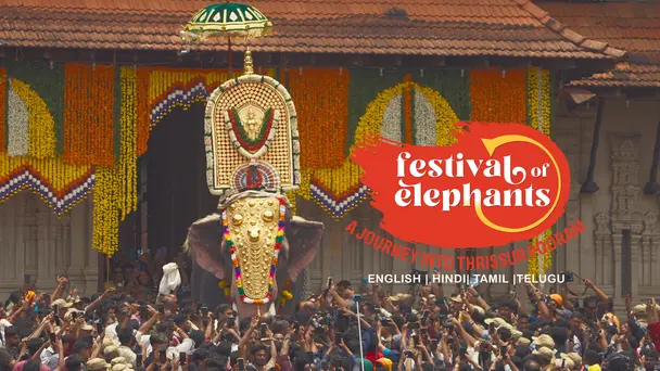 Festival Of Elephants: Thrissur Pooram