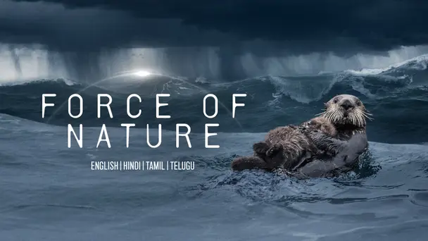 Force of Nature