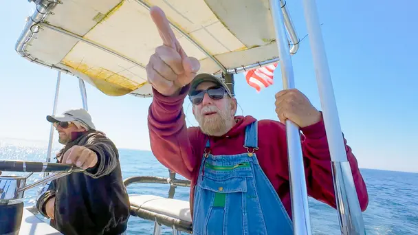 They Might Be Giants