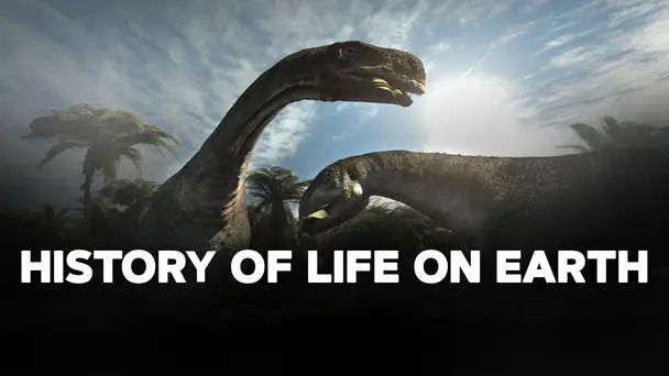 History Of Life On Earth