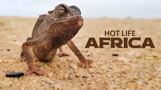 Hot Life Africa