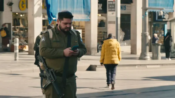 Israel Defense Forces