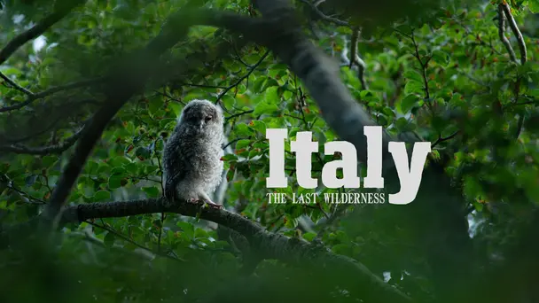 Italy: The Last Wilderness