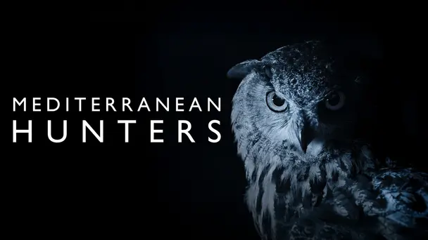 Mediterranean Hunters