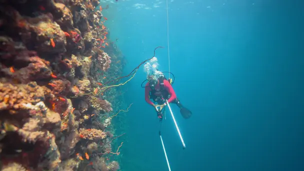 Mysteries of The Red Sea