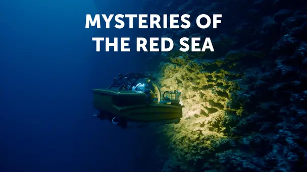 Mysteries of The Red Sea
