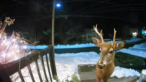 You Talkin' to Me?