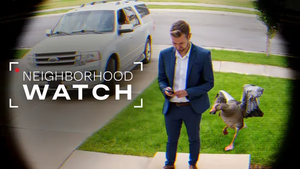 Neighborhood Watch