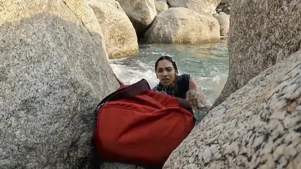 Laws of the Jungle