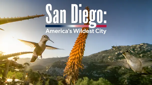 San Diego: America's Wildest City