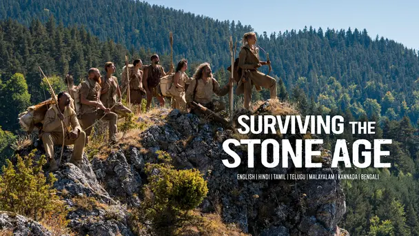 Surviving The Stone Age