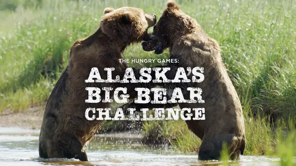 The Hungry Games : Alaska's Big Bear Challenge