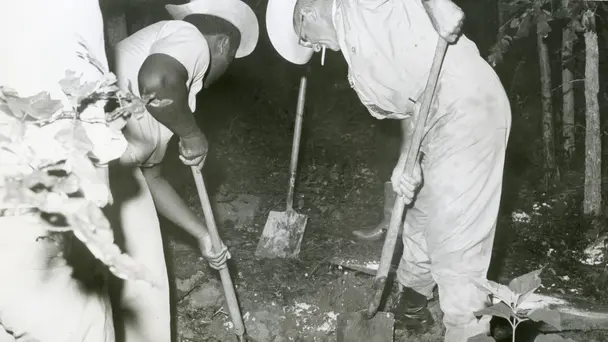 Killer's Apprentice - Part 2