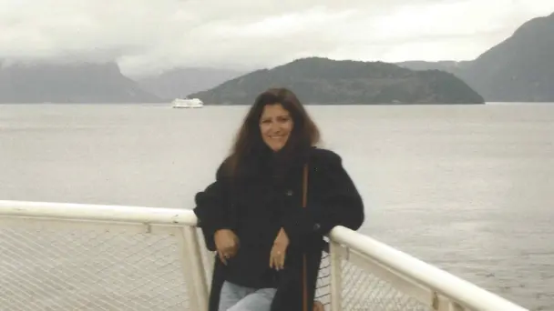 Silicon Valley Vanishing