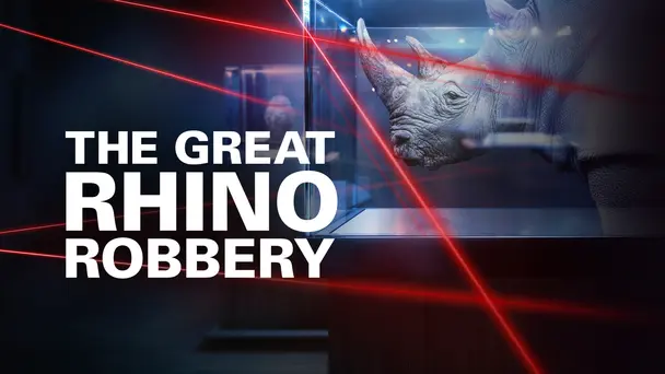 The Great Rhino Robbery