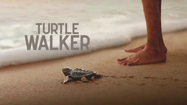 Turtle Walker