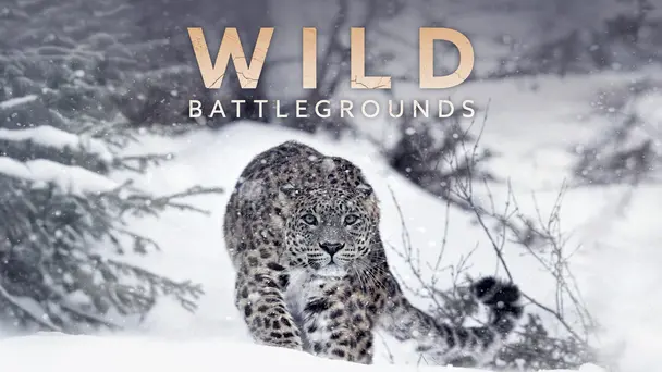 Wild Battlegrounds