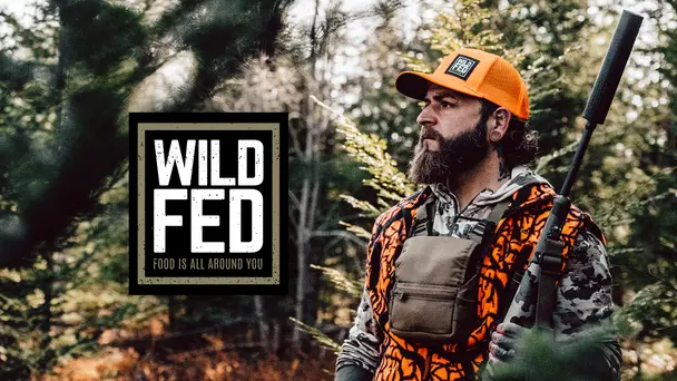 Wild Fed