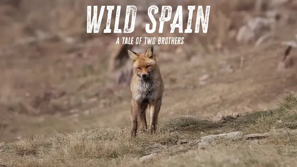 Wild Spain: A Tale of Two Brothers
