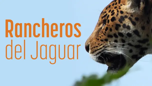 RANCHEROS DEL JAGUAR