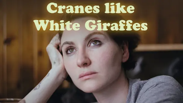CRANES LIKE WHITE GIRAFFES
