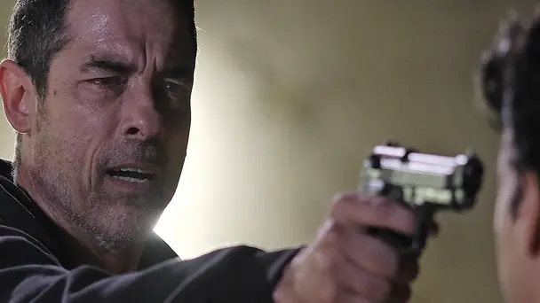 Standing Tall Italian