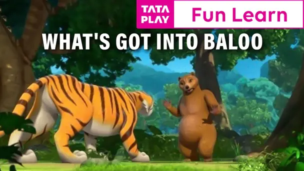 What's got into Bal